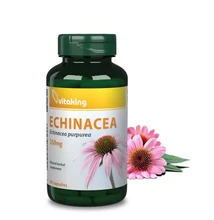 Vitaking -  Bíbor kasvirág (Echinacea) kivonat (90 napi adag) kapszula